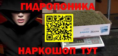 хмурый Гусь-Хрустальный