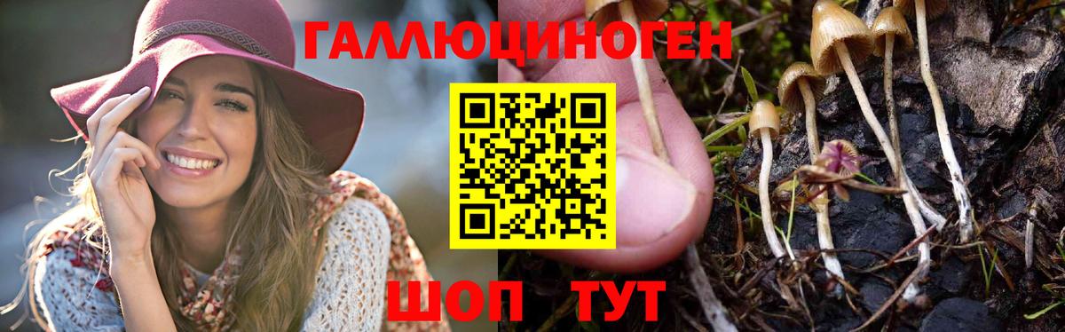 Псилоцибиновые грибы ЛСД  Вход с VPN  Мыски 